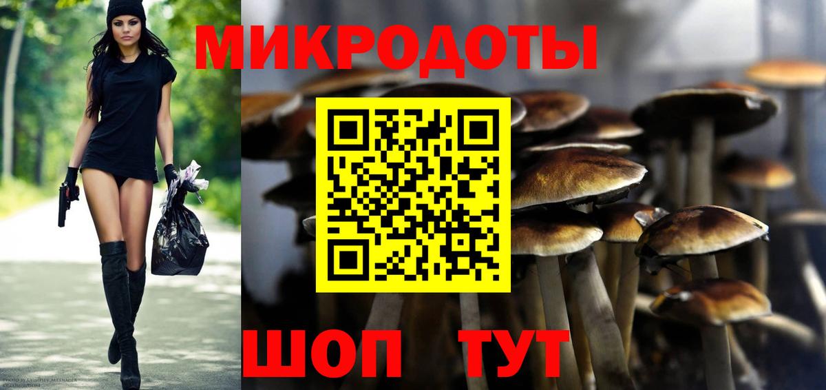 Калининград  Галлюциногенные грибы Psilocybine cubensis  Вход с VPN 